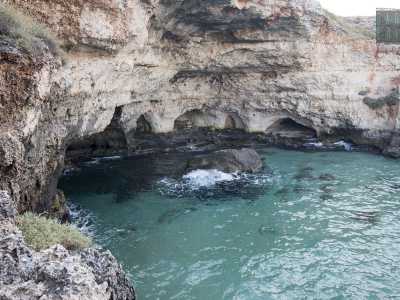 Decidiamo di avventurarci verso nord, fiancheggiando il villaggio turistico predetto. Ed ecco che attraverso alcuni arbusti notiamo una rientranza: ma dall�alto la visuale ci risulta limitata. Scendiamo cos� sul costone e, dopo esserci poggiati su un �gradino� posto a pochi centimetri dall�acqua, riusciamo cos� ad ammirare l�enorme bocca spalancata della �grotta della Draga�